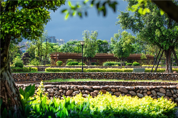 龍巖市龍津湖公園項目