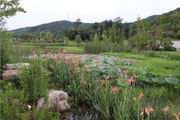 盤龍山景觀綠化提升工程設計施工總承包(EPC)