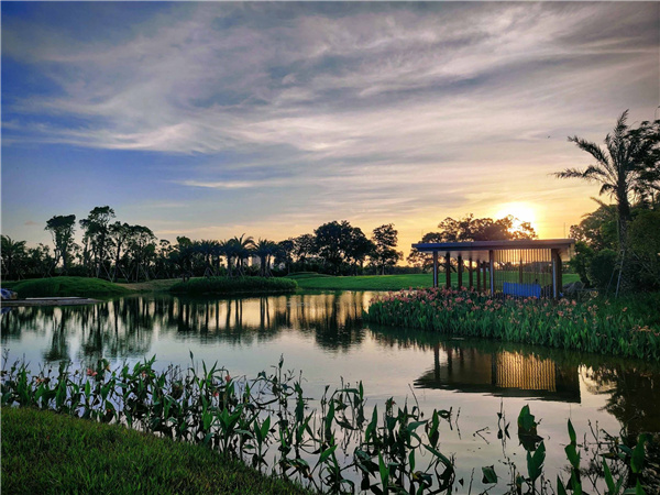 廣東江門市潮連島潮頭中央公園