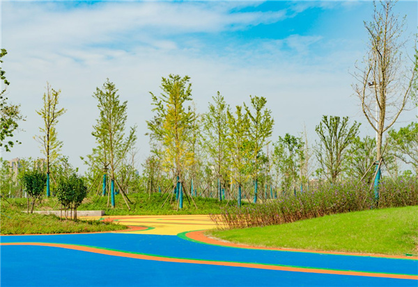 武漢生態環境設計研究院丨漢江漢陽江灘(琴斷口閘至長豐橋段及琴南段) 防洪及環境綜合整治工程