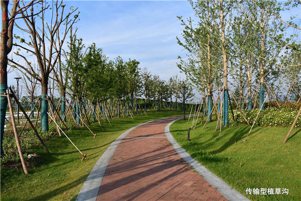 上海南匯新城星空之境海綿公園DBO項目