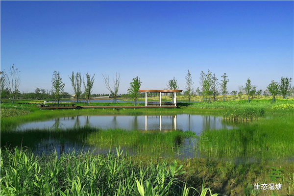 上海南匯新城星空之境海綿公園DBO項目