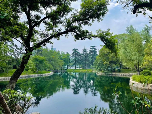 園冶杯獲獎作品丨合肥逍遙津公園提升改造