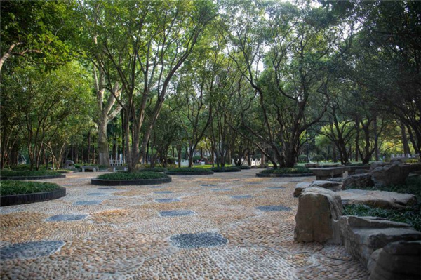 園冶杯獲獎作品丨合肥逍遙津公園提升改造