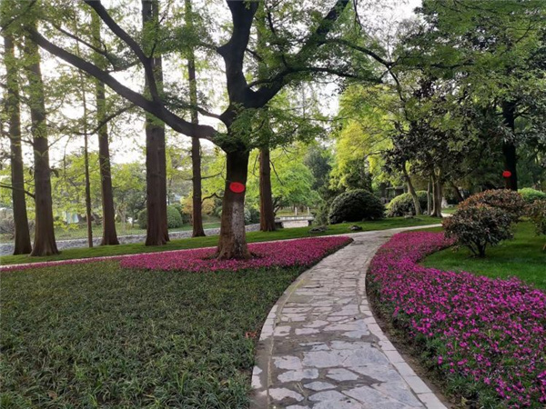 園冶杯獲獎作品丨合肥逍遙津公園提升改造