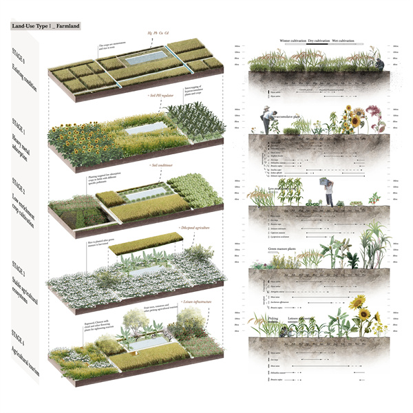 第十三屆園冶杯一等獎作品|從電子垃圾到生態修復