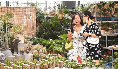 工業遺產: 從沉睡到新生