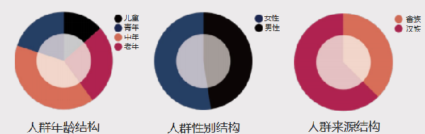 第二屆鄉村振興國際聯合畢業設計二等獎作品丨云檐煮茗,景織畬鄉