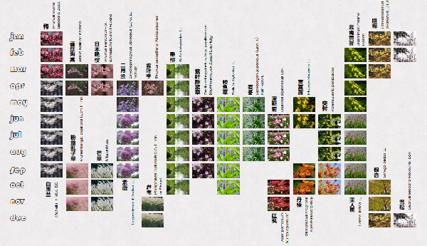 第二屆鄉村振興國際聯合畢業設計二等獎作品丨云檐煮茗,景織畬鄉