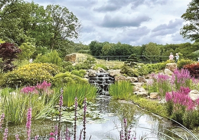 中國畔溪花園成為英國大曼徹斯特地區新打卡地