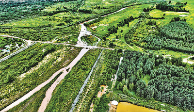 自然恢復與人工修復如何相輔相成