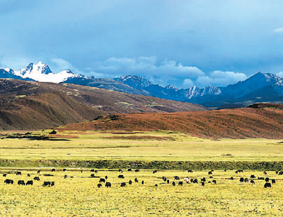 四川理塘:讓更多游客走進“天空之城”