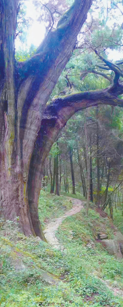 古蜀道保護傳承的啟示