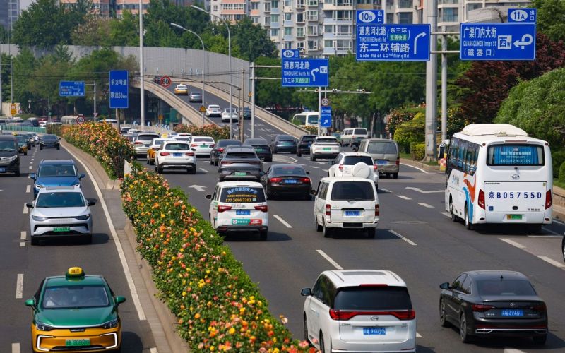 綠化彩化行動將北京打造成濃蔭繁花的畫卷