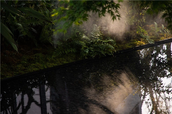 DEAL德珈設(shè)計(jì)丨麓湖W2悅溪樣板島