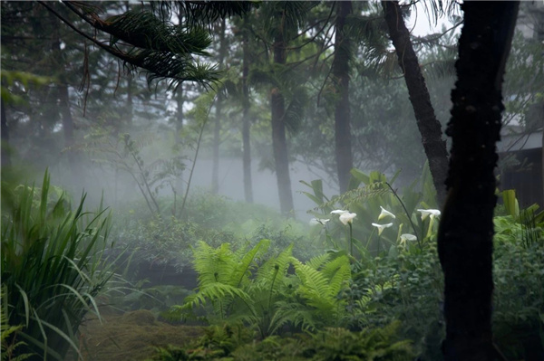 DEAL德珈設(shè)計(jì)丨麓湖W2悅溪樣板島