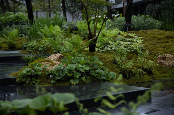 DEAL德珈設(shè)計(jì)丨麓湖W2悅溪樣板島