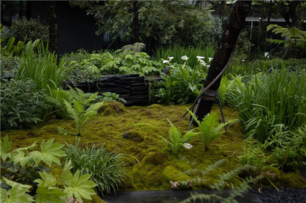 DEAL德珈設(shè)計(jì)丨麓湖W2悅溪樣板島