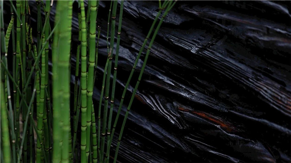 DEAL德珈設(shè)計(jì)丨麓湖W2悅溪樣板島