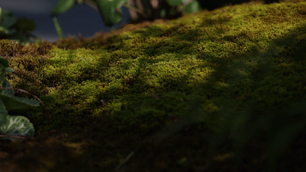 DEAL德珈設(shè)計(jì)丨麓湖W2悅溪樣板島