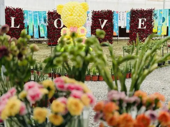 第二屆喀什鮮花節盛大開幕