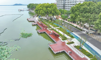 武漢：跟著跑友看綠道 感受東湖生態(tài)美