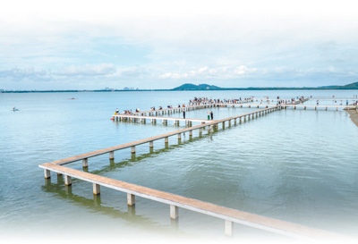 武漢：跟著跑友看綠道 感受東湖生態(tài)美