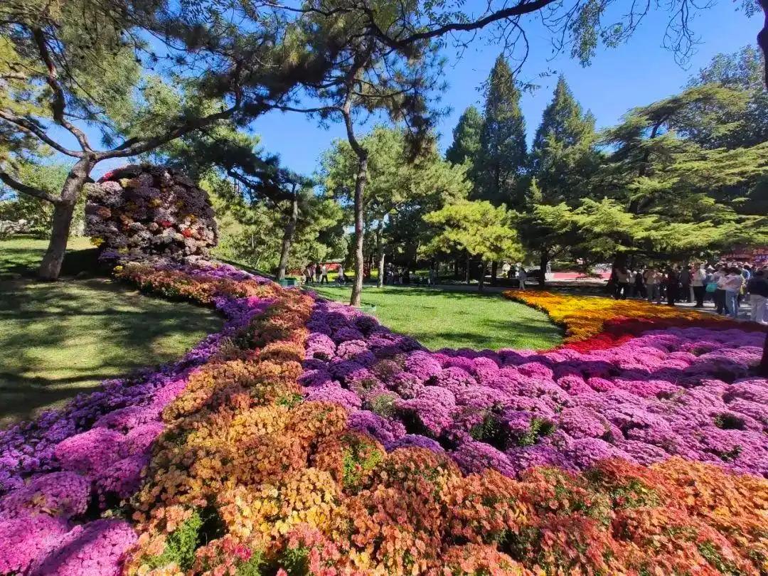 “公園+”激活“花園經(jīng)濟(jì)” 朝陽花園節(jié)3月20日啟幕