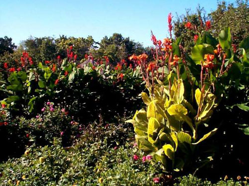 美國愛荷華州園林景觀