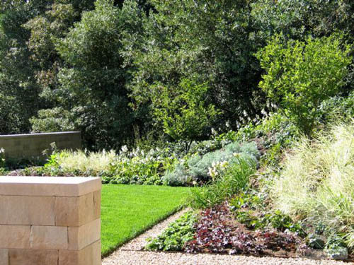 加州索諾瑪葡萄園