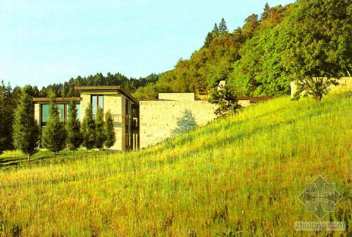 加州索諾瑪葡萄園