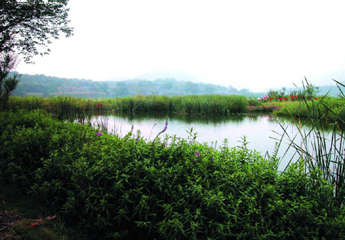 杭州西湖西進區(qū)域規(guī)劃