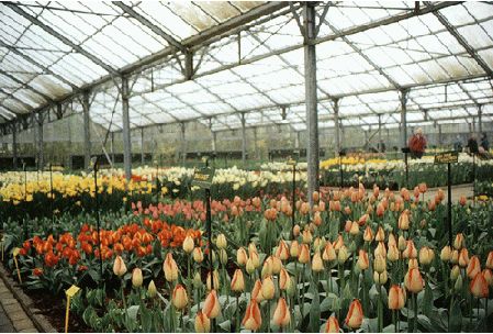 河南 綠化 公園