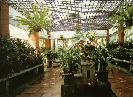 河南 綠化 公園