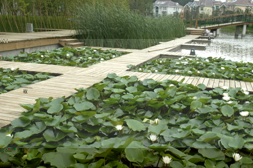 河南正弘別墅區