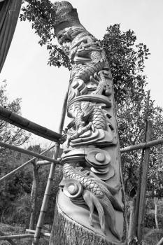 活樹雕刻是殘忍還是藝術(shù)?