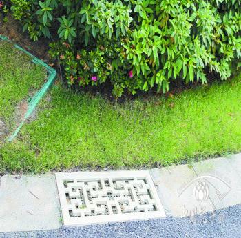 資材資訊_花木市場資訊_花木頻道