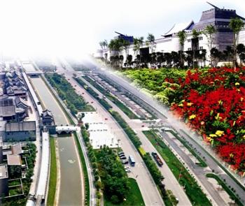 天津：生態北塘多種植物造型美觀