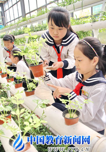 植物科技立體生態館