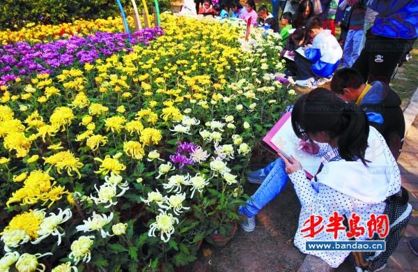菊展剛剛布展結(jié)束,一些學(xué)生即前來(lái)繪畫(huà)創(chuàng)作。本報(bào)記者孟達(dá) 攝