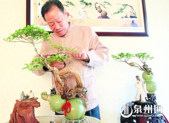 巧用酒瓶栽盆景