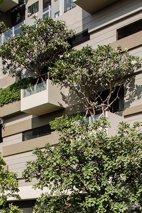 Shma設計的綠植景觀 公共空間|規劃設計 中國風景園林網