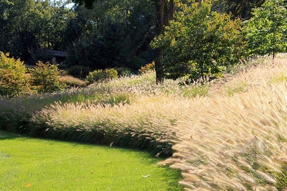 房產花園 公共空間|規劃設計 中國風景園林網