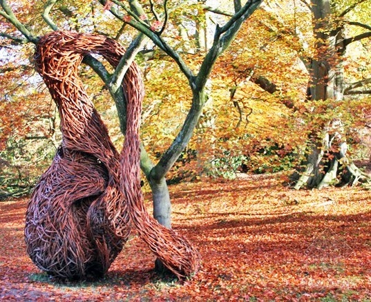 藝術家Laura Bacon用柳樹編織的強大雕塑