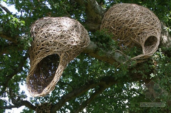 藝術家Laura Bacon用柳樹編織的強大雕塑