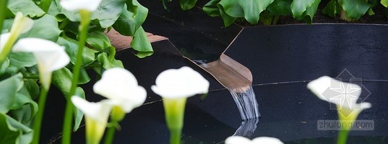 2013切爾西花展金獎：東村花園