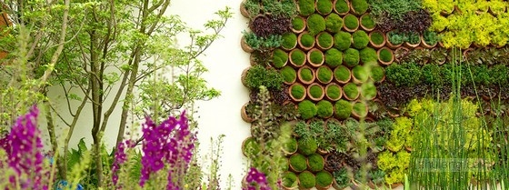 2013切爾西花展金獎：RBC深海屋頂花園