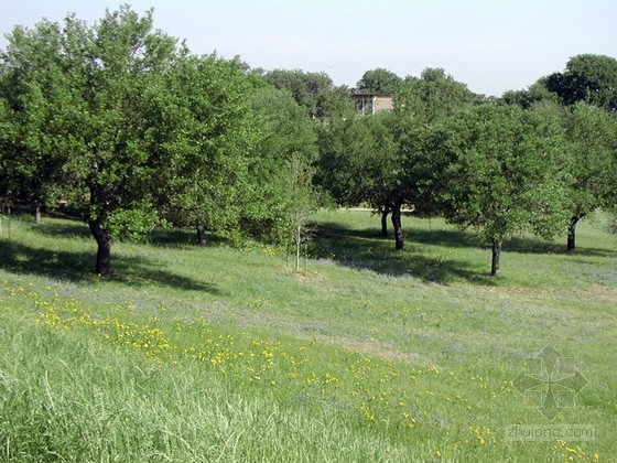佐佐木公司設計的美國圣愛德華大學景觀總體規(guī)劃