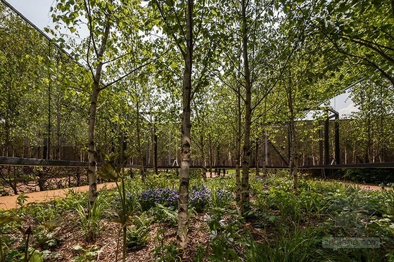 法國肖蒙國際園林展：具有無限深度的花園