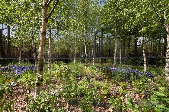 法國肖蒙國際園林展：具有無限深度的花園